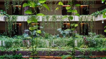 内部エントランス / 2