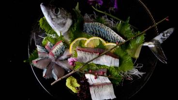 食事・飲み物 / 19