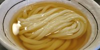 大阪の美味しい「うどん」を求めて。至高の一杯に出会える12店