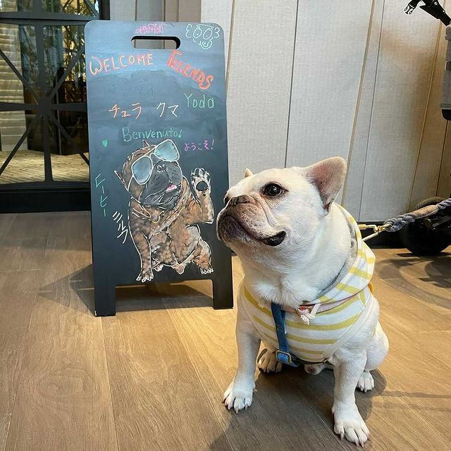mar11ynroseさんの写真 / 1