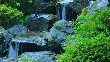 施設の敷地 / 18