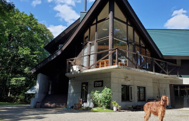 7 Best Accommodations for Traveling to Furano &amp; Biei with Pets