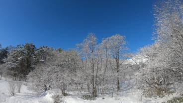 スノー スポーツとスキー / 7