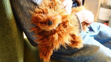 レストラン / 10