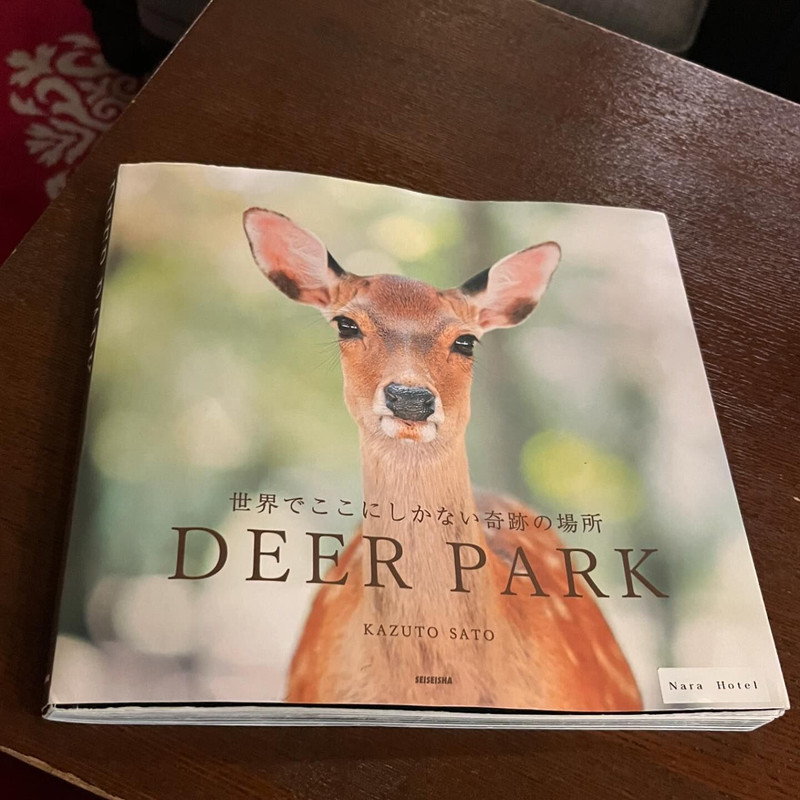 c_____p_____pさんの写真 / 2