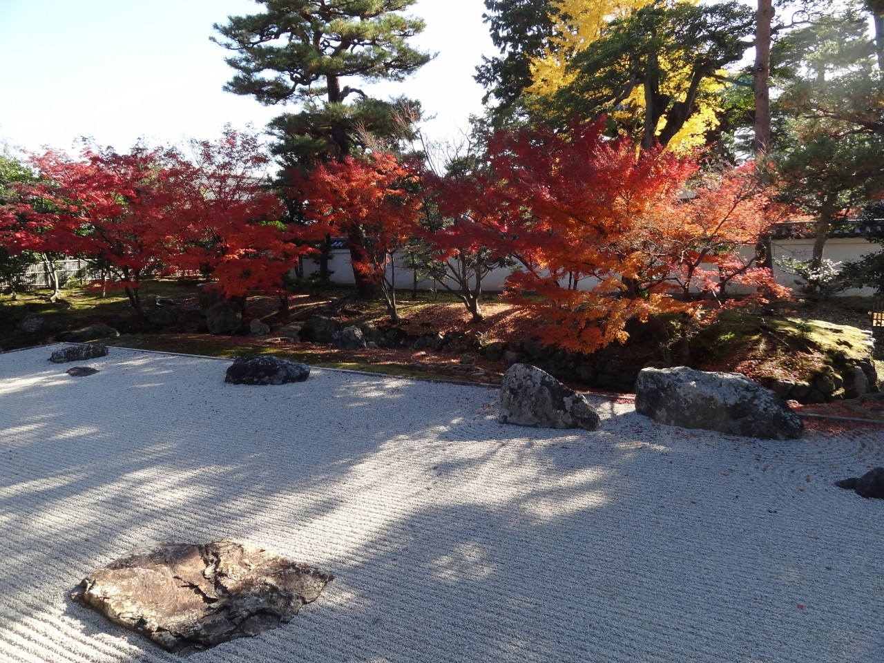 開山塔庭園　「龍渕水の庭」1021887