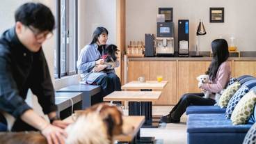 カフェ / 7