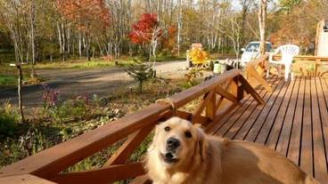 施設の敷地 / 15