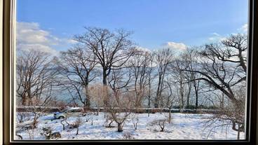 レイク ビュー / 8