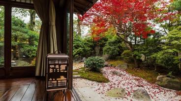 南禅寺 八千代（ナンゼンジ ヤチヨ） / 16