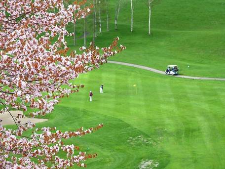 ヒルトンニセコビレッジ / 3