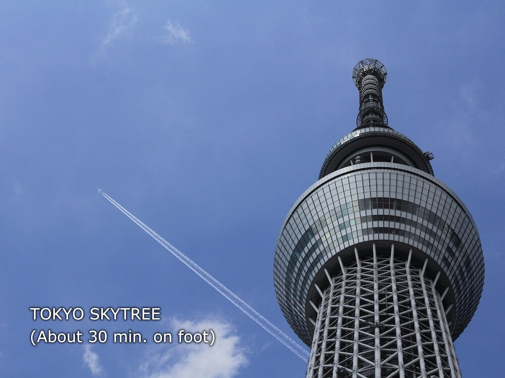 観光スポット
