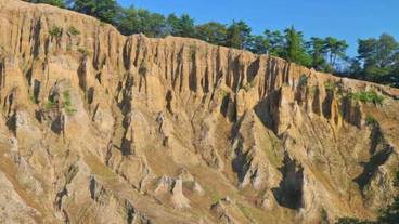 観光スポット / 29