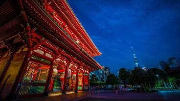 施設からの眺望 / 19