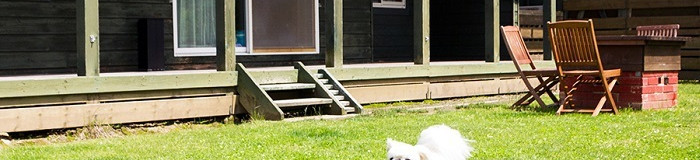 【福島】ペットと一緒にお泊り旅♪愛犬家におすすめの旅館＆ホテル7選