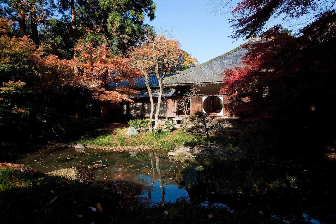 鎌倉明月院の庭園 紅葉の晩秋