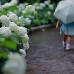 【岡山】親子で楽しめる！子供と行きたい「雨の日のお出かけスポット」5選