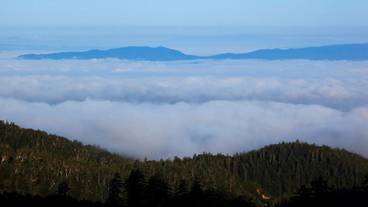 施設の敷地 / 19