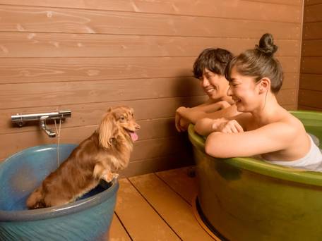 大江戸温泉物語 わんわんリゾート粟津 / 5