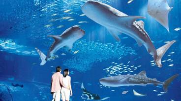 観光スポット / 14