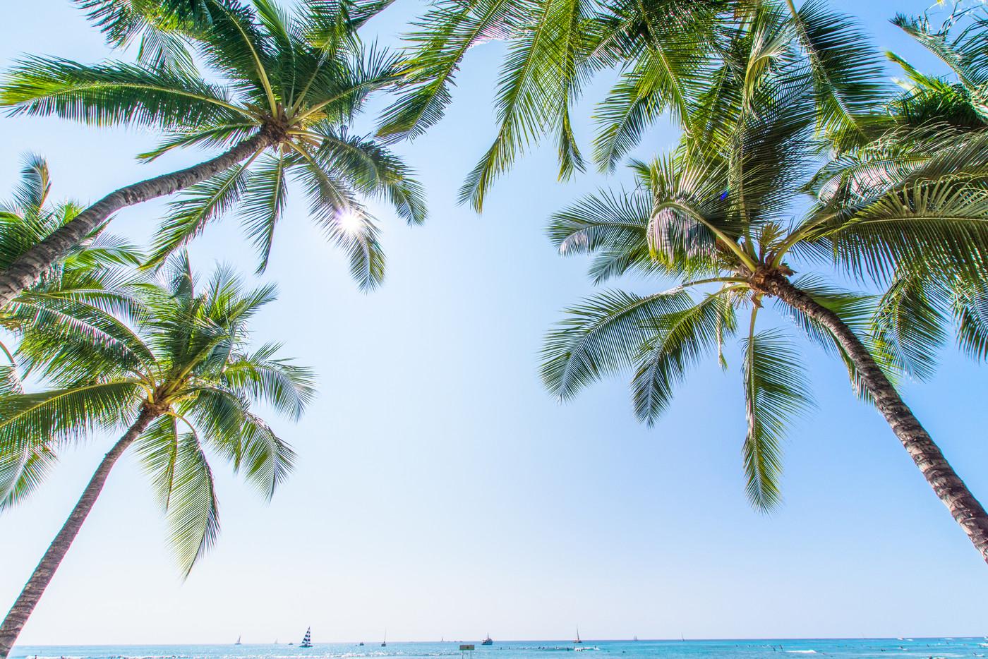 【ハワイ】オアフ島・ヤシの木と青空