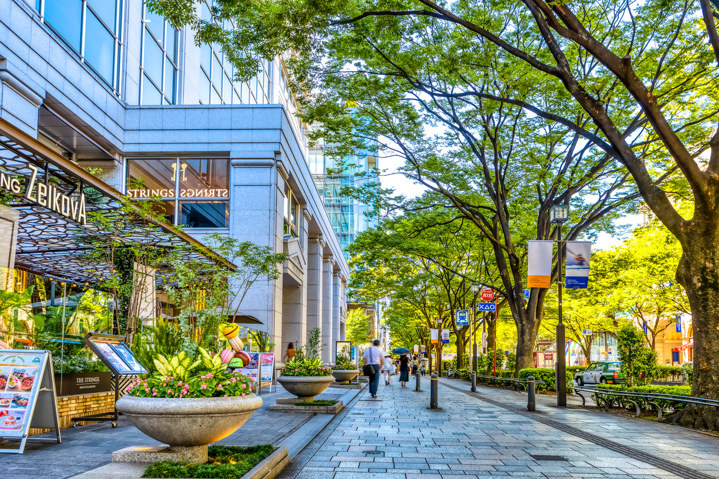 東京の都市風景　表参道