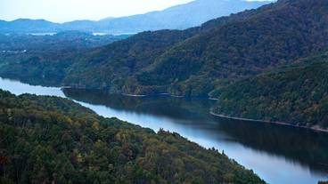 観光スポット / 6