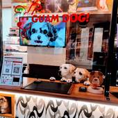 箱根強羅グアムドッグ本店(神奈川県 旅館) / 3