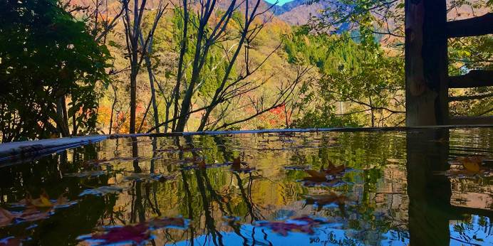 隠庵 ひだ路（岐阜県 旅館） / 1