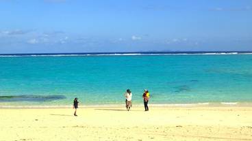 施設からの眺望 / 16