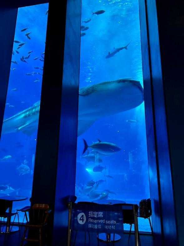 himmels_7さんの写真 / 3