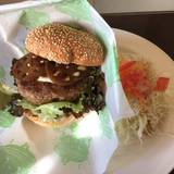 こはくの天使（コハクノテンシ）