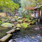 山形県あつみ温泉 たちばなや（山形県 旅館） / 3