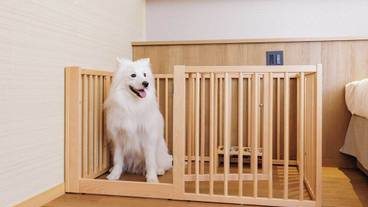 客室 / 27