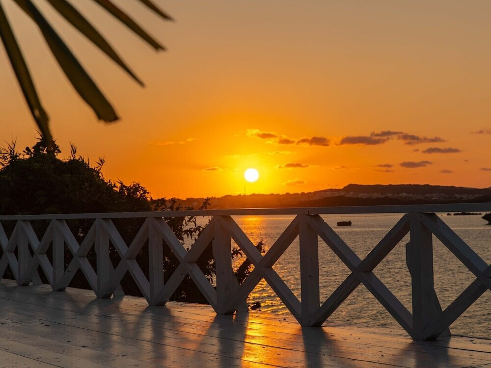 テラス / パティオ