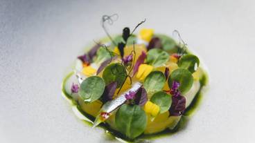 客室の設備とサービス / 28