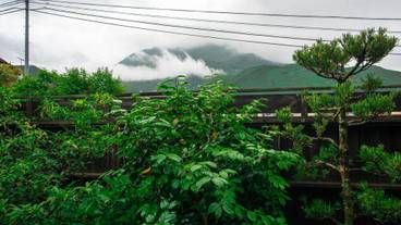 マウンテン ビュー / 19