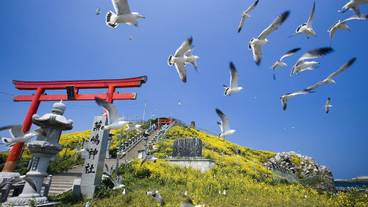 観光スポット / 3