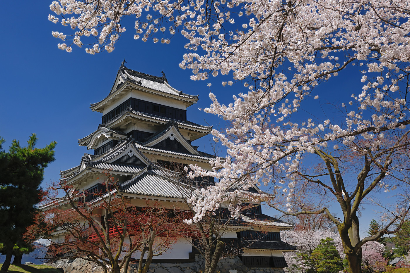 長野県松本市　松本城　天守