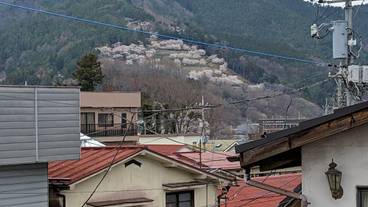 施設からの眺望 / 5