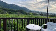 ワイン民宿鈴木園