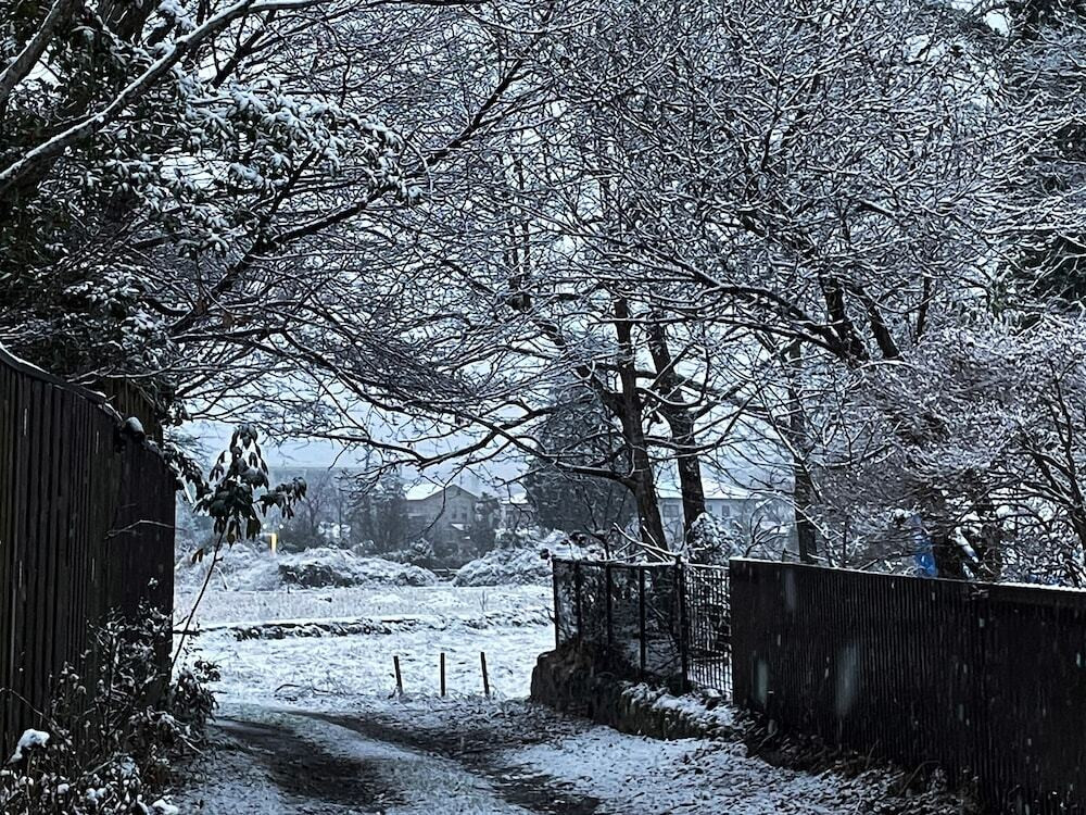 施設からの眺望