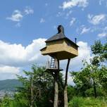 【長野】まるでジブリの世界。“藤森照信さん”の建築物を巡ろう！＋周辺グルメ情報