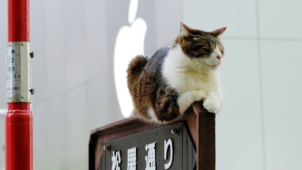 早朝の静かな銀座を
のんびり散策 / 1