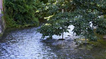 施設からの眺望 / 37