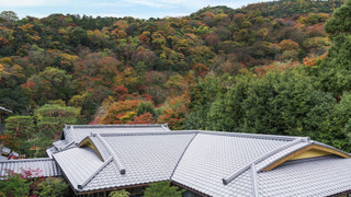 ルーム シングルベッド 2 台 禁煙 (View)