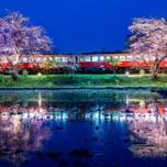千葉・インスタ映え間違いなし！桜・お花見のおすすめ名所＆穴場13選