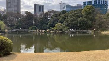 観光スポット / 8