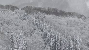 スキー ヒル / 8