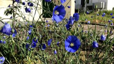 施設の敷地 / 10